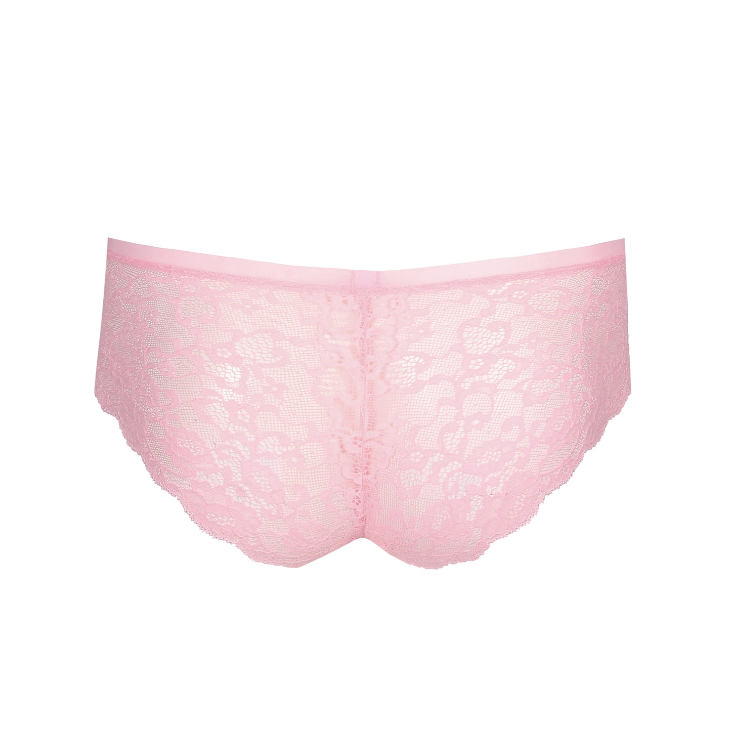COLOR STUDIO Short (Lily Rose)