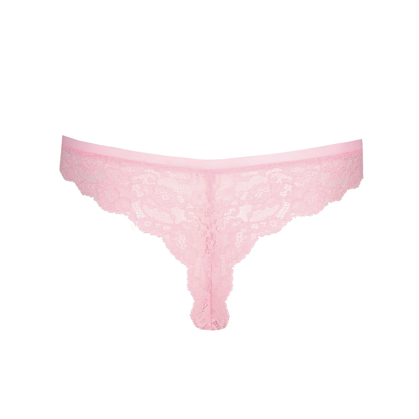 COLOR STUDIO String (Lily Rose)