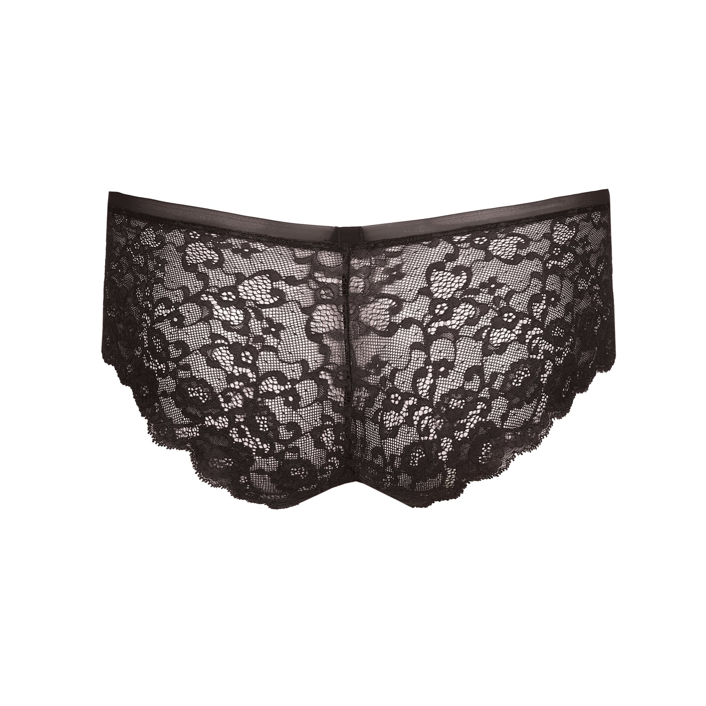 COLOR STUDIO Short (Sweet Chocolate) 36