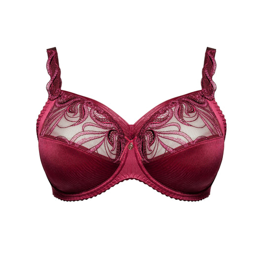 CARMEN BH Cup H-L (Bordeaux)