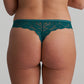 COLOR STUDIO String (Jasper Green)