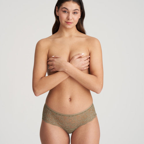 COLOR STUDIO Shorts (Golden Olive)