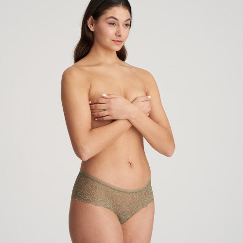 COLOR STUDIO Shorts (Golden Olive)