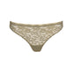 COLOR STUDIO String (Golden Olive)