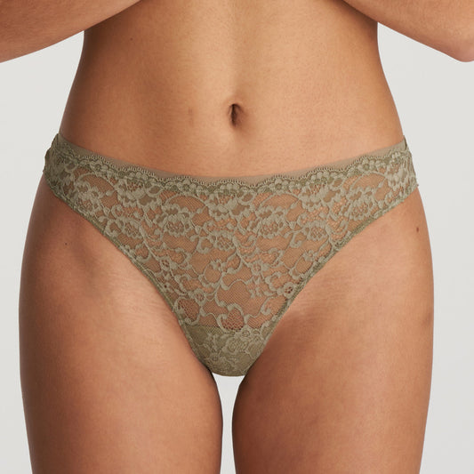COLOR STUDIO String (Golden Olive)