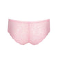 COLOR STUDIO Short (Lily Rose)