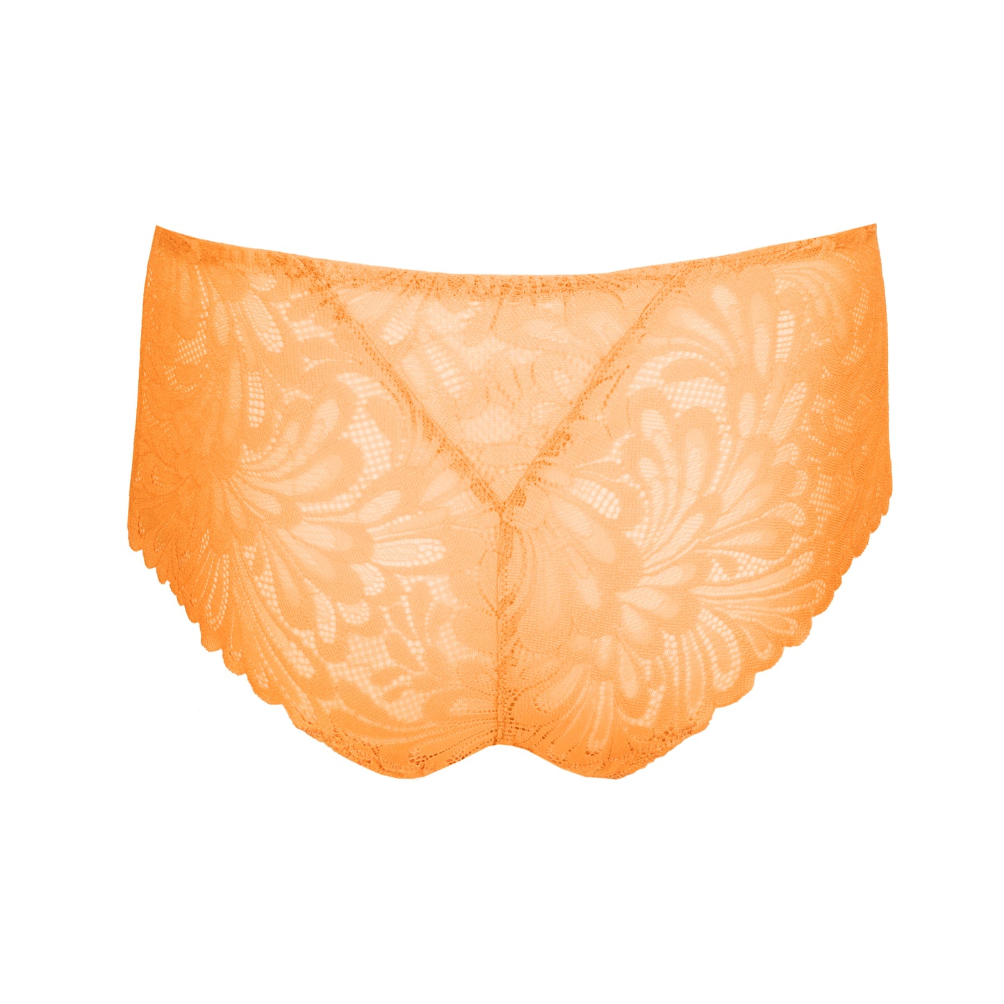 RUPI Taillenslip (Sunny Day)
