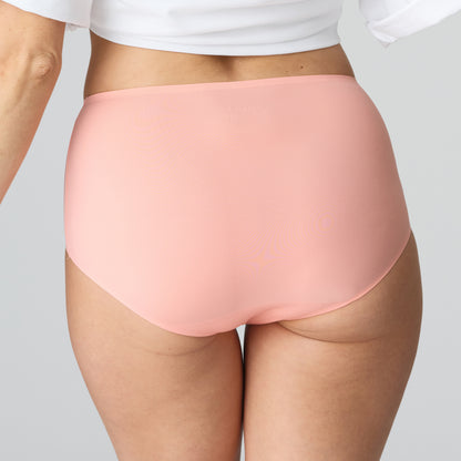 COLOR STUDIO Taillenslip (Florida)