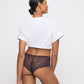 COLOR STUDIO Short (Sweet Chocolate) 36