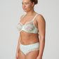 MADISON Hotpants (Frühling Grün)