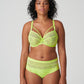 SOPHORA Taillenslip (Lime Crush)