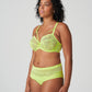 SOPHORA Taillenslip (Lime Crush)