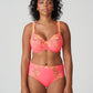 DEVDAHA Taillenslip (Tropicana)