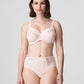 ORLANDO Taillenslip (Pearly Pink) Rosa